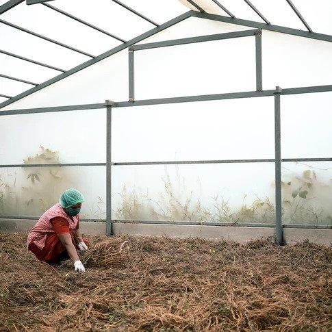 Best Ayurvedic Company | Sitaram Ayurveda